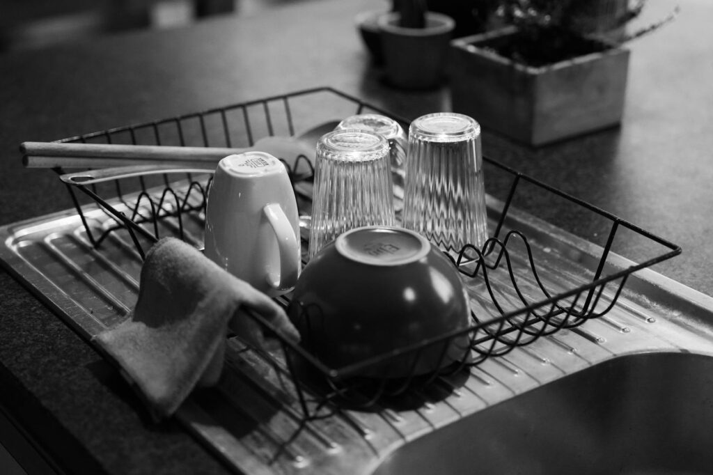 Dish Rack Kitchen - Best Dish Rack for Indian Kitchens 2026 — Stainless Steel vs