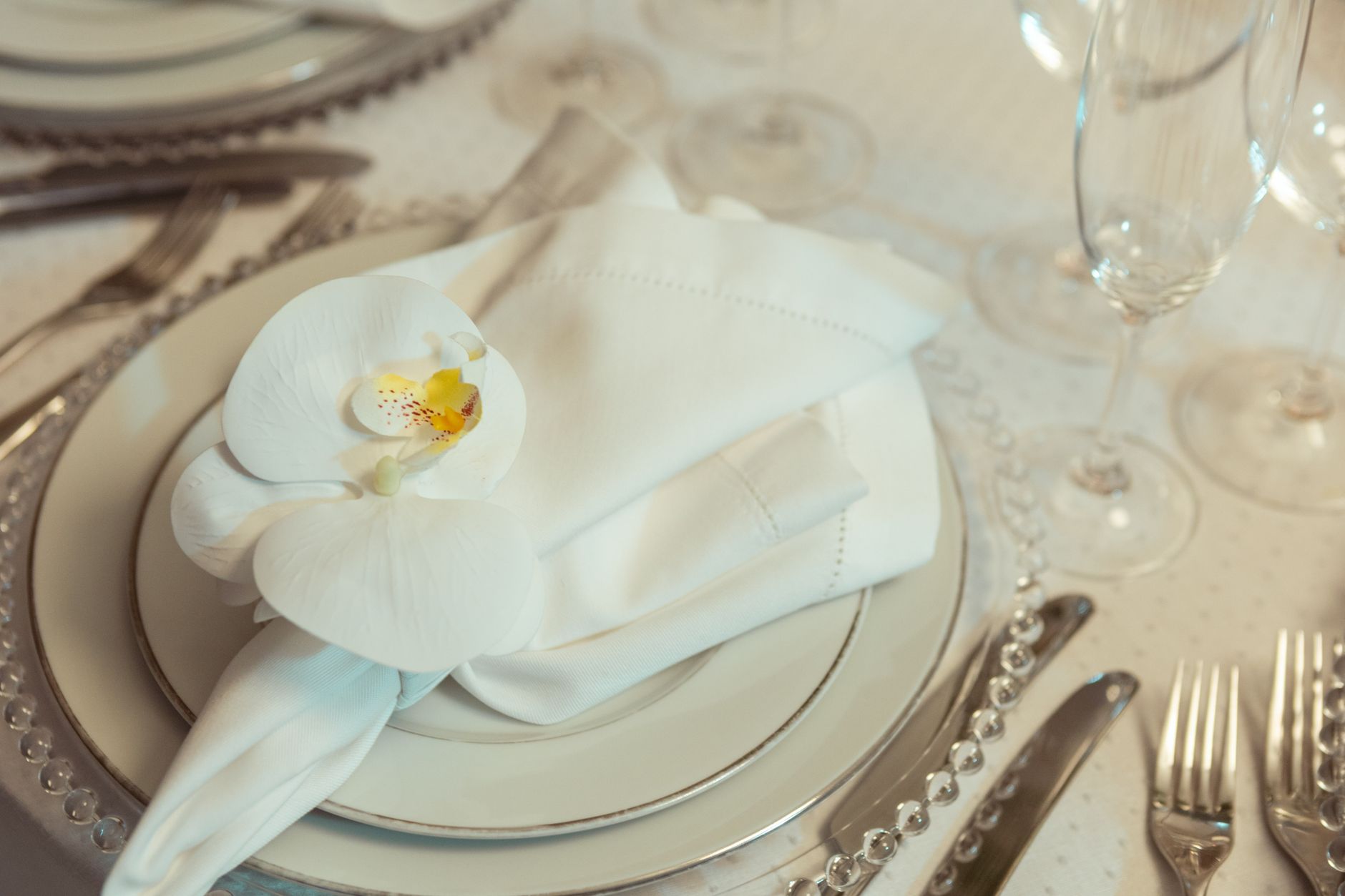 Elegant porcelain dinner plates in a formal table setting — similar to La Opala Classique opalware style