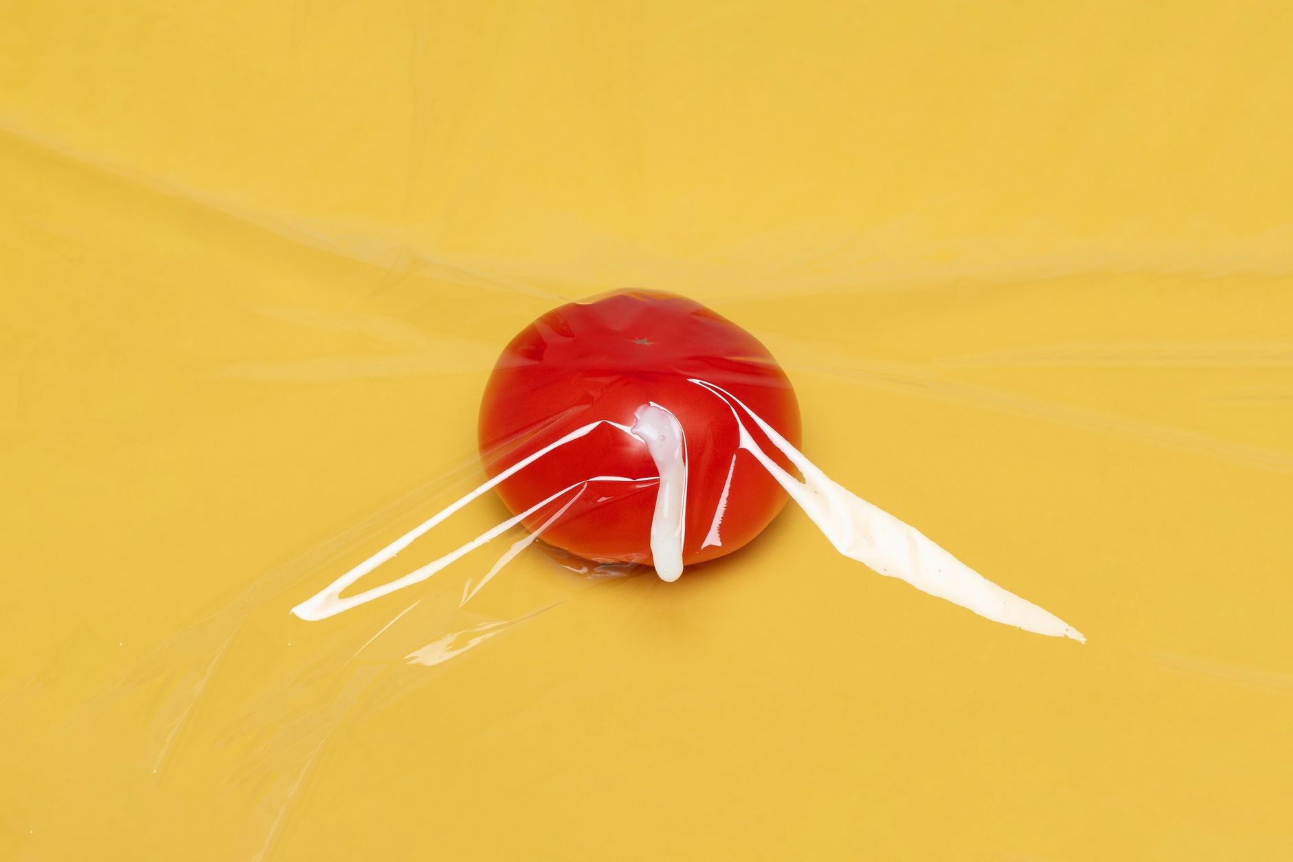 Fresh tomato wrapped in plastic highlighting the importance of proper food sealing for freshness